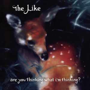 Are You Thinking What I M Thinking/Vinyle Noir Audiophile 180gr - Publicité Are You Thinking What I M Thinking/Vinyle Noir Audiophile 180gr - Publicité