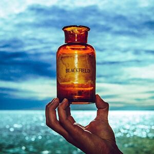 Blackfield V (Ltd Picture Disc Vinyl) - Publicité Blackfield V (Ltd Picture Disc Vinyl) - Publicité