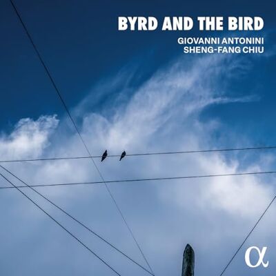 Byrd and the Bird - Publicité Byrd and the Bird - Publicité