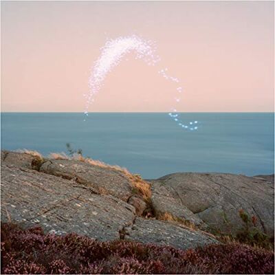 An Overview on Phenomenal Nature - Publicité An Overview on Phenomenal Nature - Publicité