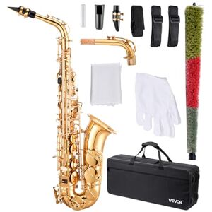 VEVOR Saxophone Alto Mi Bémol Kit Saxophone Débutants en Laiton Résistant avec Étui de Transport, Bec, Sangles, Chiffon de Nettoyage, Gants, Sangle de Cou, 23 Touches, pour Débutants, Étudiants, Doré - Publicité VEVOR Saxophone Alto Mi Bémol Kit Saxophone Débutants en Laiton Résistant avec Étui de Transport, Bec, Sangles, Chiffon de Nettoyage, Gants, Sangle de Cou, 23 Touches, pour Débutants, Étudiants, Doré - Publicité