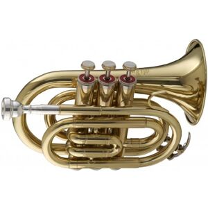 Stagg WS TR245 Trompette de poche en si bémol avec étui 15,2 x 7,6 x 20,3 cm - Publicité Stagg WS TR245 Trompette de poche en si bémol avec étui 15,2 x 7,6 x 20,3 cm - Publicité