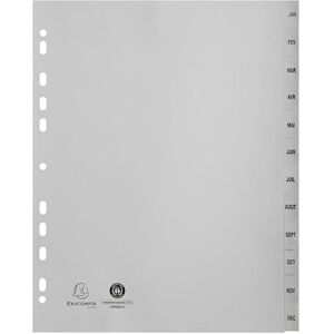 Exacompta Réf. 2812E Carton de 10 Intercalaires gris en polypropylène recyclé 12 onglets imprimés mensuel de Janvier à Décembre Format à classer A4 maxi 24,5 x 29,7 cm certifiés Ange Bleu - Publicité Exacompta Réf. 2812E Carton de 10 Intercalaires gris en polypropylène recyclé 12 onglets imprimés mensuel de Janvier à Décembre Format à classer A4 maxi 24,5 x 29,7 cm certifiés Ange Bleu - Publicité