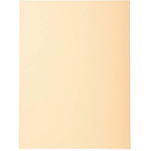 Exacompta Réf. 420002E Paquet de 100 chemises semi-rigides Forever® 170 g/m2 chemises 100% recyclées et certifiées Ange Bleu dimensions 24 x 32 cm pour format A4 couleur bulle - Publicité Exacompta Réf. 420002E Paquet de 100 chemises semi-rigides Forever® 170 g/m2 chemises 100% recyclées et certifiées Ange Bleu dimensions 24 x 32 cm pour format A4 couleur bulle - Publicité