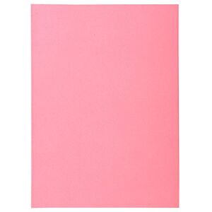 Exacompta Réf. 850003E Paquet de 250 sous-chemises SUPER 60 g/m2 aux couleurs pastel sous chemises certifiées PEFC™ dimensions 22 x 31 cm pour format A4 couleur rose - Publicité Exacompta Réf. 850003E Paquet de 250 sous-chemises SUPER 60 g/m2 aux couleurs pastel sous chemises certifiées PEFC™ dimensions 22 x 31 cm pour format A4 couleur rose - Publicité