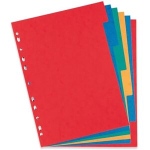 Oxford 40 Lots d'Intercalaires Neutres Tradition 24x32cm 6 Positions Carte Lustrée Epaisseur 220g Coloris Assortis - Publicité Oxford 40 Lots d'Intercalaires Neutres Tradition 24x32cm 6 Positions Carte Lustrée Epaisseur 220g Coloris Assortis - Publicité