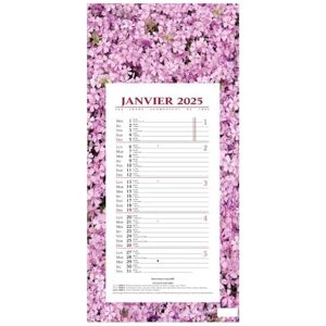 QUO VADIS 1 Plaque Calendrier Mensuel Long Motifs Fleurs Janvier 2026 à Décembre 2026 Format 16 x 33,3 cm - Publicité QUO VADIS 1 Plaque Calendrier Mensuel Long Motifs Fleurs Janvier 2026 à Décembre 2026 Format 16 x 33,3 cm - Publicité