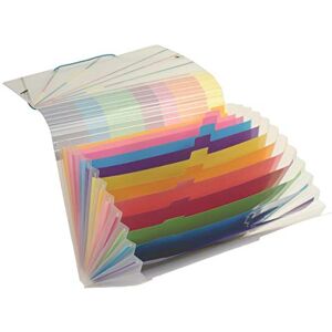 Viquel Trieur Accordéon 12 Positions avec Fermeture Élastique Tri-zen Transparent - Publicité Viquel Trieur Accordéon 12 Positions avec Fermeture Élastique Tri-zen Transparent - Publicité