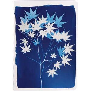 Clairefontaine 83502C Un Carnet Cousu motifs Floral / Cyanotype A5 14,8x21 cm 64 Pages Lignées papier Blanc 90g Papier à grain Collection Cyanotype 3 visuels, livraison aléatoire - Publicité Clairefontaine 83502C Un Carnet Cousu motifs Floral / Cyanotype A5 14,8x21 cm 64 Pages Lignées papier Blanc 90g Papier à grain Collection Cyanotype 3 visuels, livraison aléatoire - Publicité