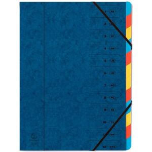 Exacompta Réf. 54122E Carton de 8 trieurs dos agrafé avec élastiques couverture imprimée en carte lustrée et intérieur en carte recyclée 12 compartiments dim 24,5x 32 cm pour A4 bleu - Publicité Exacompta Réf. 54122E Carton de 8 trieurs dos agrafé avec élastiques couverture imprimée en carte lustrée et intérieur en carte recyclée 12 compartiments dim 24,5x 32 cm pour A4 bleu - Publicité
