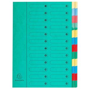 Exacompta Réf. 5124E Carton de 4 trieurs HARMONIKA sans élastiques et fenêtres imprimées couverture en carte lustrée dos extensible 24 compartiments pour A4 dim 24,5 x 32cm vert - Publicité Exacompta Réf. 5124E Carton de 4 trieurs HARMONIKA sans élastiques et fenêtres imprimées couverture en carte lustrée dos extensible 24 compartiments pour A4 dim 24,5 x 32cm vert - Publicité