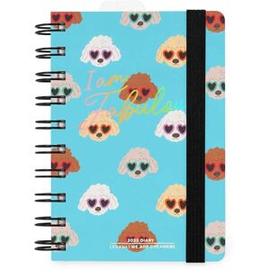 LEGAMI Agenda journalier spiralé petit, 12 mois, journal de janvier 2025 à décembre 2025, planificateur pliable 2025/2026, fermeture avec élastique, poche finale, carnet d'adresses, 8,5 x 13 cm, Sky - Publicité LEGAMI Agenda journalier spiralé petit, 12 mois, journal de janvier 2025 à décembre 2025, planificateur pliable 2025/2026, fermeture avec élastique, poche finale, carnet d'adresses, 8,5 x 13 cm, Sky - Publicité