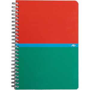 CONQUERANT Carnet reliure spirale 14,8x21 cm 180 pages petits carreaux papier 70g - Publicité CONQUERANT Carnet reliure spirale 14,8x21 cm 180 pages petits carreaux papier 70g - Publicité