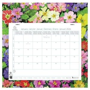 Exacompta 33315E 1 Calendrier Mensuel Un décor floral Dimension 27,5 cm x 30,5 cm Janvier 2026 à Décembre 2026-12 feuillets détachables 2 Visuels Possibles - Publicité Exacompta 33315E 1 Calendrier Mensuel Un décor floral Dimension 27,5 cm x 30,5 cm Janvier 2026 à Décembre 2026-12 feuillets détachables 2 Visuels Possibles - Publicité
