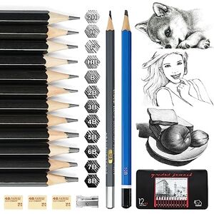 Vicloon 18 Pièces Crayons de Dessin Professionnels Set, Set Comprend Taille-Crayon Gomme, 12B 10B 8B 7B 6B 5B 4B 3B 2B B HB 2H H F Saine Environnementale Non Toxique Adultes Artistes Cadeaux - Publicité Vicloon 18 Pièces Crayons de Dessin Professionnels Set, Set Comprend Taille-Crayon Gomme, 12B 10B 8B 7B 6B 5B 4B 3B 2B B HB 2H H F Saine Environnementale Non Toxique Adultes Artistes Cadeaux - Publicité