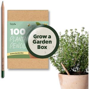 Sprout World Les crayons en bois SproutWorld Grow A Garden Box Crayons en bois HB prétaillés avec graphite plantable et 4 types de graines assorties Bois certifié Pack de 100 - Publicité Sprout World Les crayons en bois SproutWorld Grow A Garden Box Crayons en bois HB prétaillés avec graphite plantable et 4 types de graines assorties Bois certifié Pack de 100 - Publicité