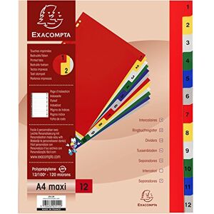 Exacompta Réf. 2512E Intercalaires en polypropylène avec 12 onglets imprimés numériques de 1 à 12 en couleur Page d'indexation imprimable Format à classer A4 maxi Dimensions 24,5 x 29,7 cm - Publicité Exacompta Réf. 2512E Intercalaires en polypropylène avec 12 onglets imprimés numériques de 1 à 12 en couleur Page d'indexation imprimable Format à classer A4 maxi Dimensions 24,5 x 29,7 cm - Publicité