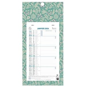 Exacompta 1 Plaque Calendrier Mensuel Long Mini Labo Visuel Fleurs Janvier 2026 à Décembre 2026 Format 16 x 33,3 cm 2 Coloris Aléatoires - Publicité Exacompta 1 Plaque Calendrier Mensuel Long Mini Labo Visuel Fleurs Janvier 2026 à Décembre 2026 Format 16 x 33,3 cm 2 Coloris Aléatoires - Publicité