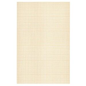 Clairefontaine 93550C Paquet Papier Vélin Millimétré 50 Feuilles Papier Millimétré Brun 50x65 cm 90g Idéal pour les Travaux Géométriques et les Dessins Techniques - Publicité Clairefontaine 93550C Paquet Papier Vélin Millimétré 50 Feuilles Papier Millimétré Brun 50x65 cm 90g Idéal pour les Travaux Géométriques et les Dessins Techniques - Publicité
