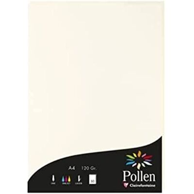 Clairefontaine 56000C Étui de 50 Feuilles Format A4 (21x29,7cm) 120g/m² Coloris Blanc Naturel Papier d'Invitation Evènements et Correspondance Gamme Pollen Papier Premium - Publicité Clairefontaine 56000C Étui de 50 Feuilles Format A4 (21x29,7cm) 120g/m² Coloris Blanc Naturel Papier d'Invitation Evènements et Correspondance Gamme Pollen Papier Premium - Publicité