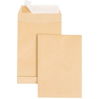 GPV Boite de 250 Sac à soufflet Format C5 (162x229x30 mm), sans fenêtre, qualité papier kraft : 120 g/m2 Certifié PEFC - Publicité GPV Boite de 250 Sac à soufflet Format C5 (162x229x30 mm), sans fenêtre, qualité papier kraft : 120 g/m2 Certifié PEFC - Publicité