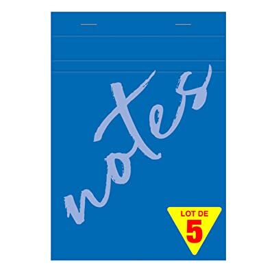 Calligraphe 15355C Un Lot de 5 Blocs Notes Agrafés en Tête Bleus (une Marque de Clairefontaine) A5 14,8x21 cm 100 Feuilles Petits Carreaux Papier 60 g Couverture Semi Enveloppante - Publicité Calligraphe 15355C Un Lot de 5 Blocs Notes Agrafés en Tête Bleus (une Marque de Clairefontaine) A5 14,8x21 cm 100 Feuilles Petits Carreaux Papier 60 g Couverture Semi Enveloppante - Publicité