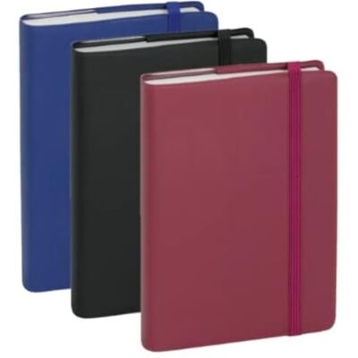 Exacompta Agenda Journal 13 Quadrillé Plastique 8,5x13cm Janv à déc 2026 - Publicité Exacompta Agenda Journal 13 Quadrillé Plastique 8,5x13cm Janv à déc 2026 - Publicité