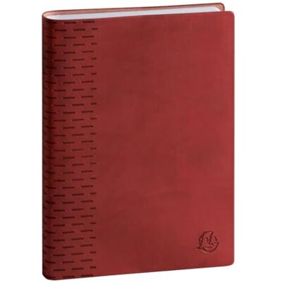 Exacompta 1 Agenda Journalier Forum Office Winner De Août 2026 à Juillet 2027 Format 15 x 21 cm Coloris Aléatoires - Publicité Exacompta 1 Agenda Journalier Forum Office Winner De Août 2026 à Juillet 2027 Format 15 x 21 cm Coloris Aléatoires - Publicité