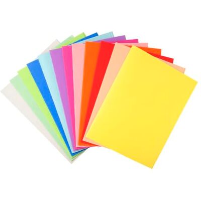 Exacompta Réf. 410000E Paquet de 100 chemises rigides Forever® 220 g/m2 chemises 100% recyclées et certifiées Ange Bleu dimensions 24 x 32 cm pour format A4 10 couleurs assorties - Publicité Exacompta Réf. 410000E Paquet de 100 chemises rigides Forever® 220 g/m2 chemises 100% recyclées et certifiées Ange Bleu dimensions 24 x 32 cm pour format A4 10 couleurs assorties - Publicité
