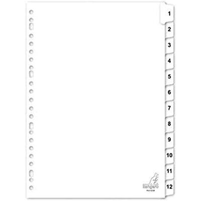 Kangaro Lot de 12 intercalaires Blanc Format A4 190 g 23 g - Publicité Kangaro Lot de 12 intercalaires Blanc Format A4 190 g 23 g - Publicité