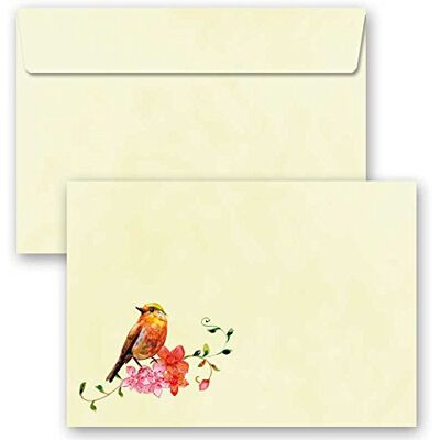 Paper-Media Enveloppes à motifs CHANT DES OISEAUX, 25 pièces C6 (162x114 mm) enveloppes sans fenêtre, avec bandes autocollantes - Publicité Paper-Media Enveloppes à motifs CHANT DES OISEAUX, 25 pièces C6 (162x114 mm) enveloppes sans fenêtre, avec bandes autocollantes - Publicité