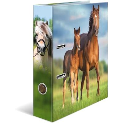 HERMA Classeur A4, 7 cm de large, pour enfants, avec motif animal, classeur coloré avec impression intérieure, pour garçons et filles - Publicité HERMA Classeur A4, 7 cm de large, pour enfants, avec motif animal, classeur coloré avec impression intérieure, pour garçons et filles - Publicité