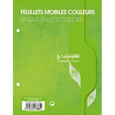 Calligraphe 7885C Un Paquet de Feuillets Mobiles Perforés Verts sous Film (une Marque de Clairefontaine) 17x22 cm 100 Pages Grands Carreaux Papier 80 g - Publicité Calligraphe 7885C Un Paquet de Feuillets Mobiles Perforés Verts sous Film (une Marque de Clairefontaine) 17x22 cm 100 Pages Grands Carreaux Papier 80 g - Publicité