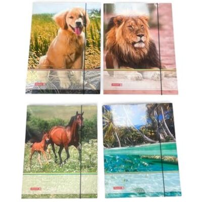 Baier & Schneider Fontaine 1047084 Chemise (A4, carton, avec élastique, motifs animaux) - Publicité Baier & Schneider Fontaine 1047084 Chemise (A4, carton, avec élastique, motifs animaux) - Publicité
