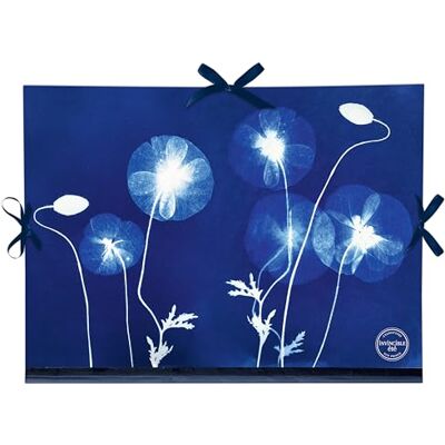 Clairefontaine 83513C Un Carton à Dessin Décor Floral/Cyanotype Fermeture 3 Rubans 28x38cm Pour formats A4 et 24 x 32 cm Résistant et Pratique Collection Cyanotype - Publicité Clairefontaine 83513C Un Carton à Dessin Décor Floral/Cyanotype Fermeture 3 Rubans 28x38cm Pour formats A4 et 24 x 32 cm Résistant et Pratique Collection Cyanotype - Publicité