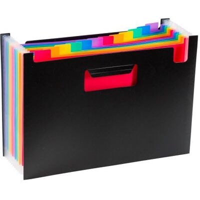 Viquel Seat Case Trieur 12 positions en polypropylène Rainbow Class - Publicité Viquel Seat Case Trieur 12 positions en polypropylène Rainbow Class - Publicité