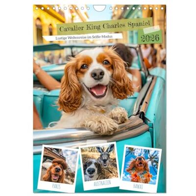 CALVENDO Cavalier King Charles Spaniel Drôle de voyage autour du monde en mode selfie, Version française (Calendrier mural 2026 DIN A4 portrait), Calendrier mensuel - Publicité CALVENDO Cavalier King Charles Spaniel Drôle de voyage autour du monde en mode selfie, Version française (Calendrier mural 2026 DIN A4 portrait), Calendrier mensuel - Publicité