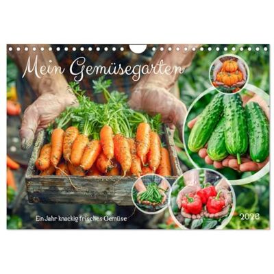 CALVENDO Mon potager Une année de légumes frais et croquants, Version française (Calendrier mural 2026 DIN A4 portrait), Calendrier mensuel - Publicité CALVENDO Mon potager Une année de légumes frais et croquants, Version française (Calendrier mural 2026 DIN A4 portrait), Calendrier mensuel - Publicité