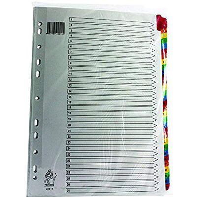 Rexel Mylar Intercalaires en Plastique Renforcés Multicolores 1-31 A4 (Blanc) - Publicité Rexel Mylar Intercalaires en Plastique Renforcés Multicolores 1-31 A4 (Blanc) - Publicité