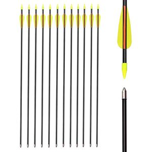 ELONG OUTDOOR Flèches en Fibre de Verre Flèches d'entraînement 28 Pouces avec Tube de Support de flèche Arcs Classiques en Verre de sécurité adaptés aux Jeunes Enfants Femme débutant - Publicité ELONG OUTDOOR Flèches en Fibre de Verre Flèches d'entraînement 28 Pouces avec Tube de Support de flèche Arcs Classiques en Verre de sécurité adaptés aux Jeunes Enfants Femme débutant - Publicité