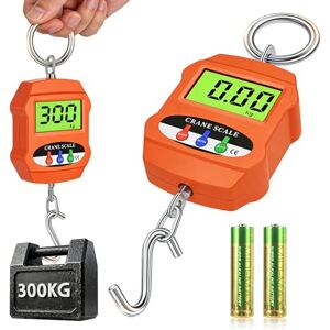 BYZESTY Balance Suspendue Électronique avec Capteur Précis LCD, Balance Suspendue Portable Numérique 300 KG, Balance À Grue Crochet Électronique, Pèse Bagage, pour Cuisine, Voyage, Pêche, Chasse Outdoor - Publicité BYZESTY Balance Suspendue Électronique avec Capteur Précis LCD, Balance Suspendue Portable Numérique 300 KG, Balance À Grue Crochet Électronique, Pèse Bagage, pour Cuisine, Voyage, Pêche, Chasse Outdoor - Publicité