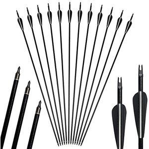 AGILEX 3Z Archery 12pack 31inch flèches tir à l'arc Chasse Fiberglass vis à tête de vis de Rechange pour 20-55lbs composé et recurve Arc - Publicité AGILEX 3Z Archery 12pack 31inch flèches tir à l'arc Chasse Fiberglass vis à tête de vis de Rechange pour 20-55lbs composé et recurve Arc - Publicité