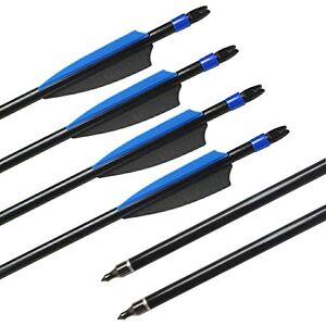 SHARROW 12pcs Flèches en Fibre de Verre 30 Pouces Flèches de Chasse avec Flèche Carquois Spine 500 pour Arc Classique et Arc à Poulies (Type 1:Bleu) - Publicité SHARROW 12pcs Flèches en Fibre de Verre 30 Pouces Flèches de Chasse avec Flèche Carquois Spine 500 pour Arc Classique et Arc à Poulies (Type 1:Bleu) - Publicité