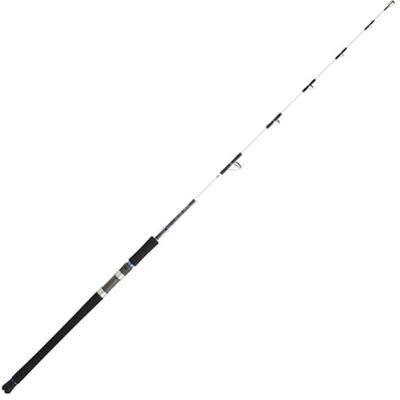Canne à pêche Daiwa Saltist Off Shore - 1,65 m - Publicité Canne à pêche Daiwa Saltist Off Shore - 1,65 m - Publicité