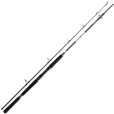Daiwa Canne à pêche BG Offshore Boat 2,40 m 150-400 g - Publicité Daiwa Canne à pêche BG Offshore Boat 2,40 m 150-400 g - Publicité