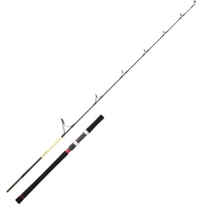 Daiwa Canne Baitcasting Jigging Grandwave Seabass 662 Xhb Off Set 1.99m 172g P.Max.220g Enc.148cm GWSB662XHBOSBF - Publicité Daiwa Canne Baitcasting Jigging Grandwave Seabass 662 Xhb Off Set 1.99m 172g P.Max.220g Enc.148cm GWSB662XHBOSBF - Publicité