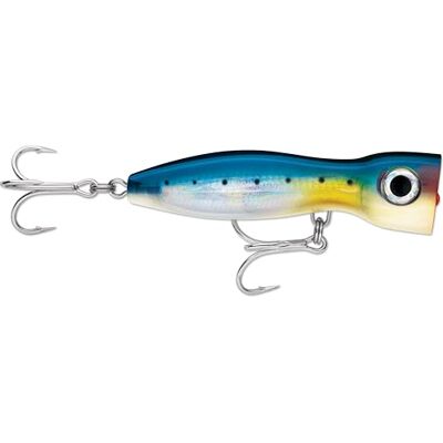 Rapala Leurre de Pêche X-Rap Magnum Xplode Matériel de Pêche Corps Robuste Monobloc ABS Leurre Pêche en Mer Profondeur de Nage Surface 17cm / 145g Fabriqué en Estonie Blue Sardine - Publicité Rapala Leurre de Pêche X-Rap Magnum Xplode Matériel de Pêche Corps Robuste Monobloc ABS Leurre Pêche en Mer Profondeur de Nage Surface 17cm / 145g Fabriqué en Estonie Blue Sardine - Publicité