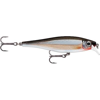 Rapala Leurre de Pêche BX Minnow Leurre Pêche en Balsa Matériel de Pêche d’Eau Douce Poissons et Carnassiers Prof de Nage 0.9-1.5m Taille 10cm/12g Fabriqué en Estonie Silver - Publicité Rapala Leurre de Pêche BX Minnow Leurre Pêche en Balsa Matériel de Pêche d’Eau Douce Poissons et Carnassiers Prof de Nage 0.9-1.5m Taille 10cm/12g Fabriqué en Estonie Silver - Publicité