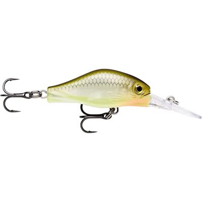 Rapala Leurre de Pêche Shadow Rap Fat Jack Construction Plastique Leurre Pêche d'Eau Douce Flottant Profondeur de Nage 3m Taille 4cm / 4g Fabriqué en Estonie Haymaker - Publicité Rapala Leurre de Pêche Shadow Rap Fat Jack Construction Plastique Leurre Pêche d'Eau Douce Flottant Profondeur de Nage 3m Taille 4cm / 4g Fabriqué en Estonie Haymaker - Publicité