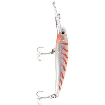 Rapala Leurre de Pêche X-Rap Magnum Matériel de Pêche avec Grande Bavette Plongeante Leurre Pêche en Mer Profondeur de Nage 4,5m 12cm / 32g Fabriqué en Estonie Firetiger - Publicité Rapala Leurre de Pêche X-Rap Magnum Matériel de Pêche avec Grande Bavette Plongeante Leurre Pêche en Mer Profondeur de Nage 4,5m 12cm / 32g Fabriqué en Estonie Firetiger - Publicité